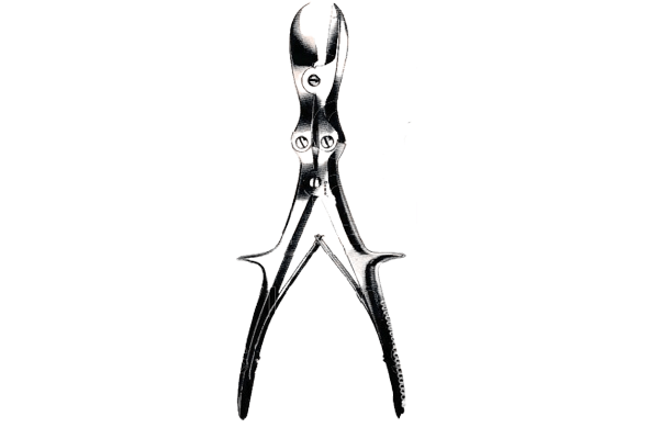 Cutter Bone Double Action Liston Straight 11inch Long